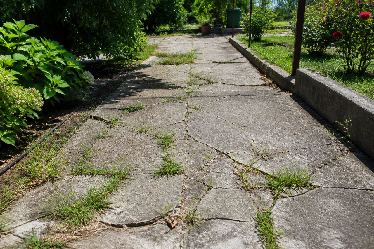 greșeli alee beton fisuri deteriorare