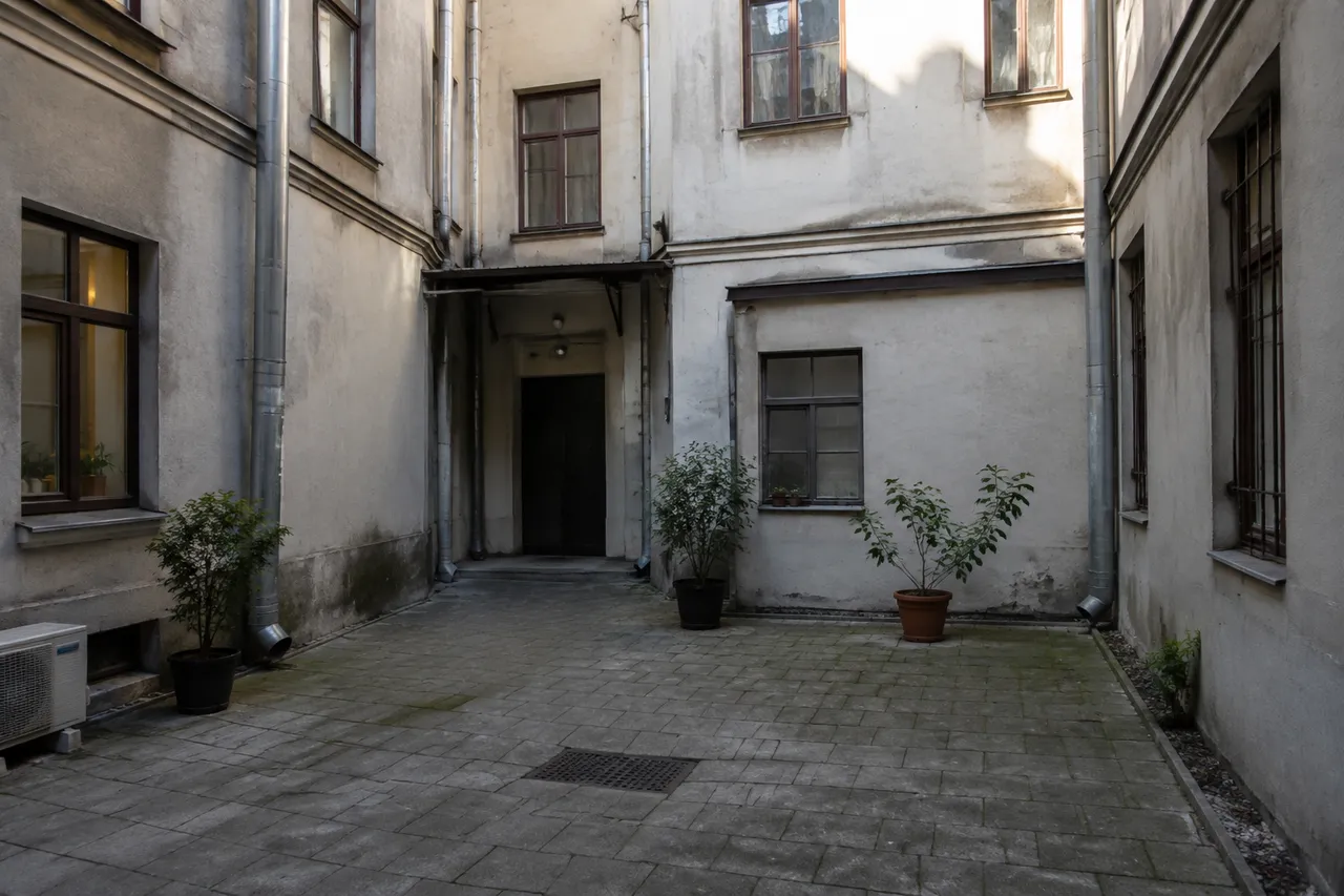 analiză curte interioară cu lumină puțină și plante de umbră